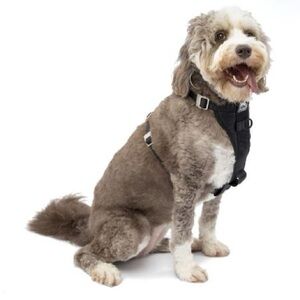 Kurgo Enhanced Strength Tru-Fit Black Dog Car Harness & Seatbelt Tether